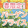 春限定!バーゲンプライス